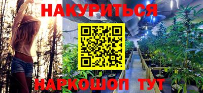 прущие грибы Ликино-Дулёво